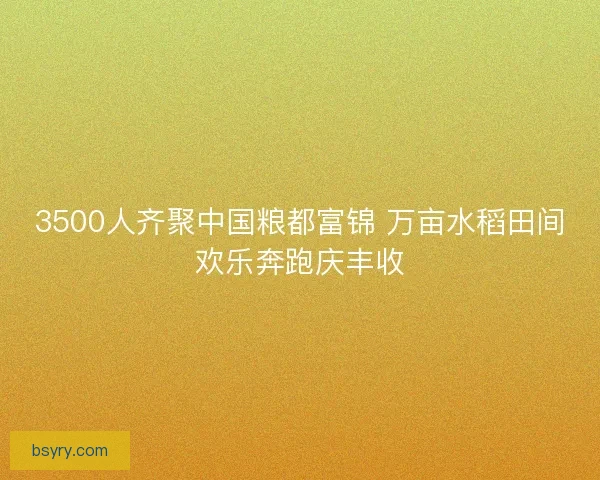 3500人齐聚中国粮都富锦 万亩水稻田间欢乐奔跑庆丰收