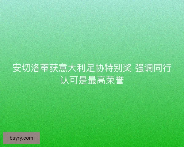 安切洛蒂获意大利足协特别奖 强调同行认可是最高荣誉