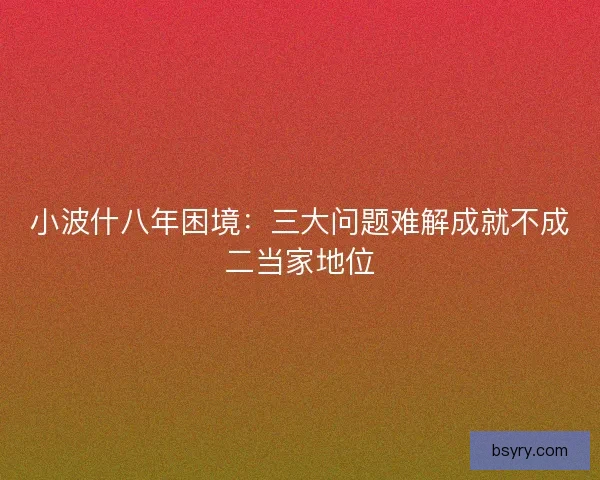 小波什八年困境：三大问题难解成就不成二当家地位